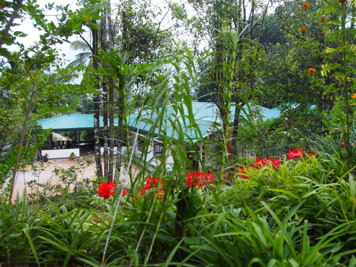 Tearamb Holiday Bungalow Otalawa المظهر الخارجي الصورة