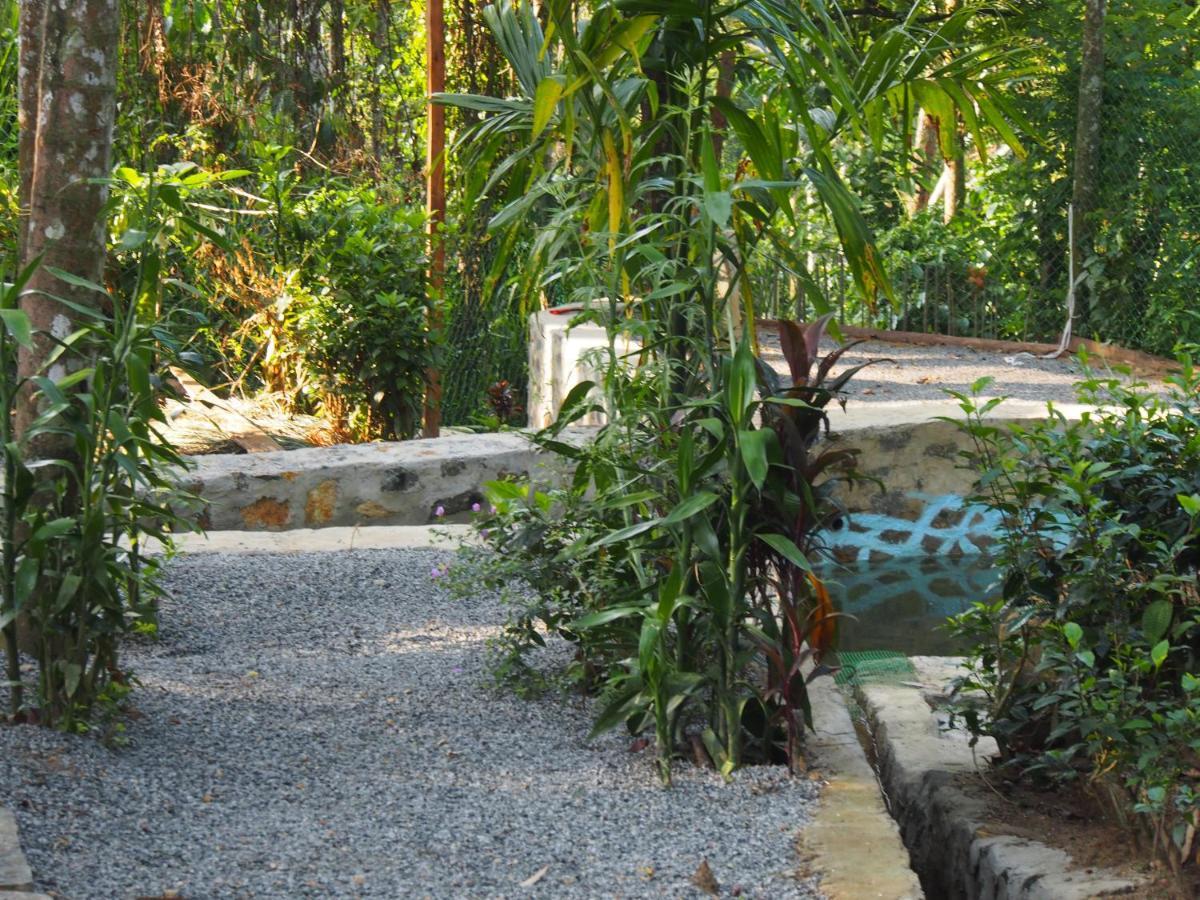 Tearamb Holiday Bungalow Otalawa المظهر الخارجي الصورة