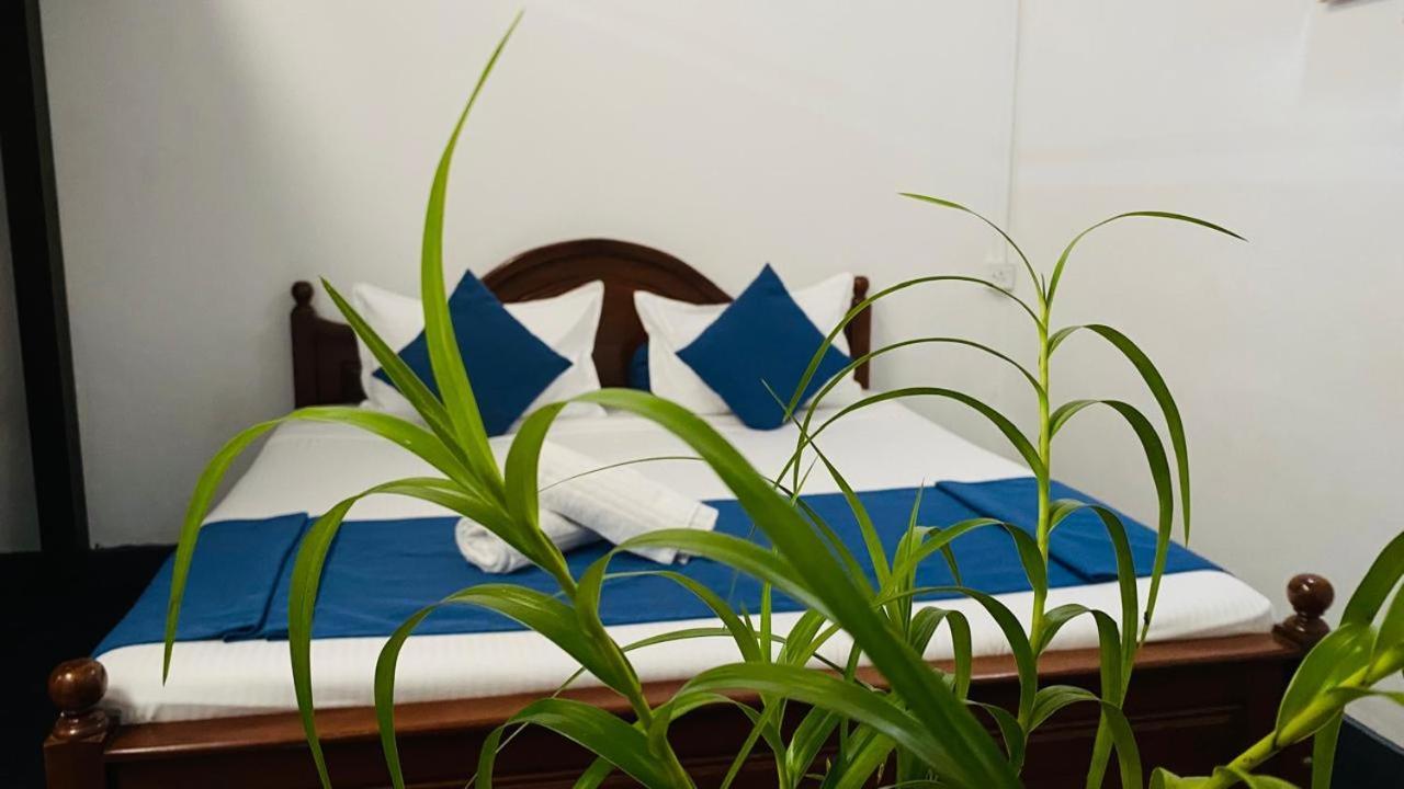 Tearamb Holiday Bungalow Otalawa المظهر الخارجي الصورة